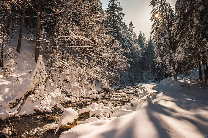 I've Got Lost In The Winter Wonderland And Captured These Photographs (14 Pics)