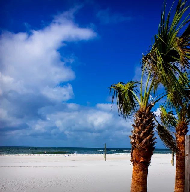 Beach At Gulf Shores