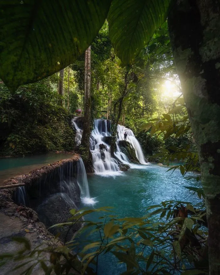 Paradise