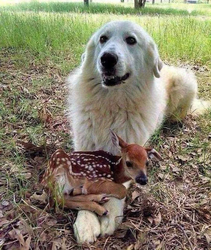 Can We Keep Her?