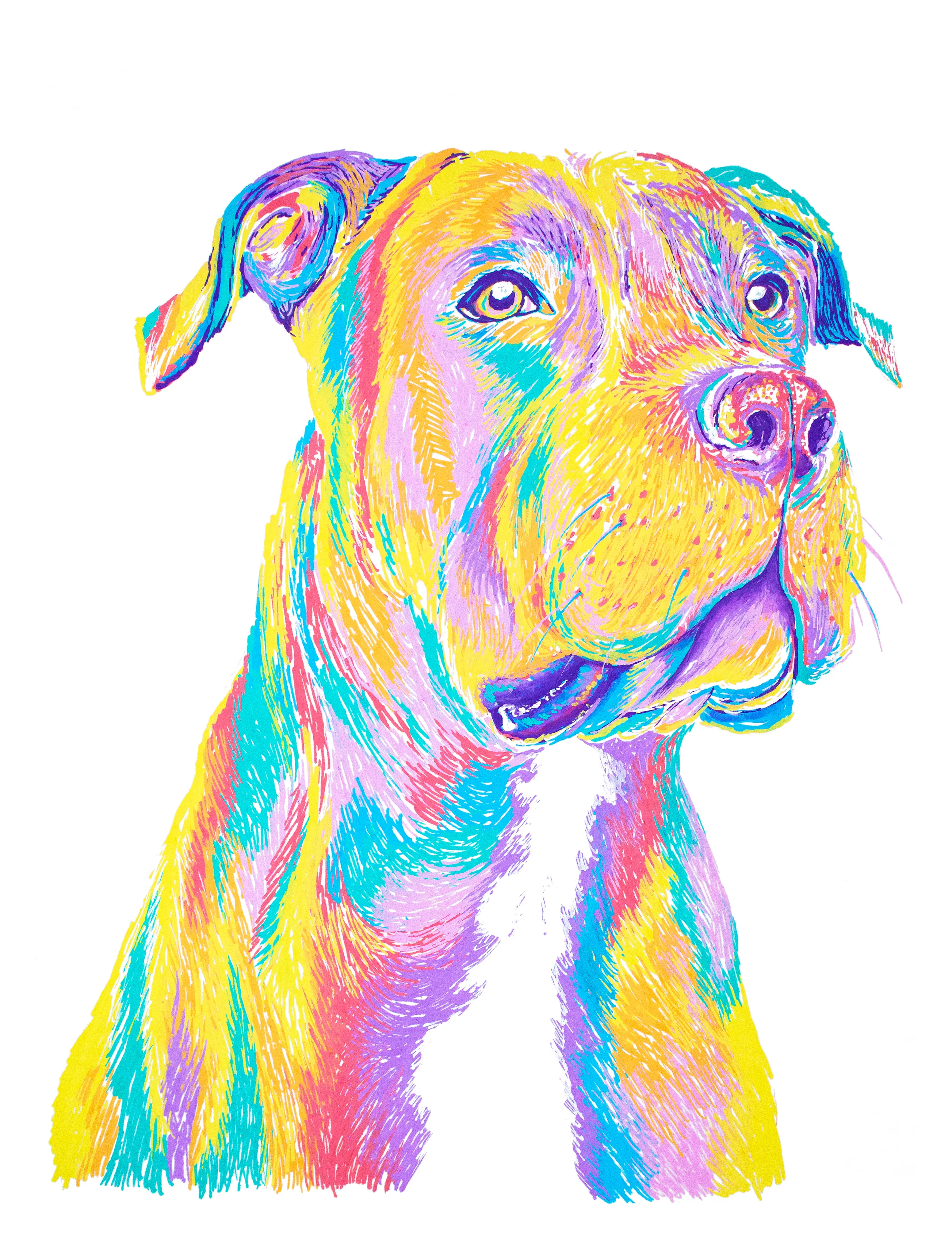 Staffy Portrait I Drew!