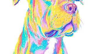 Staffy Portrait I Drew!