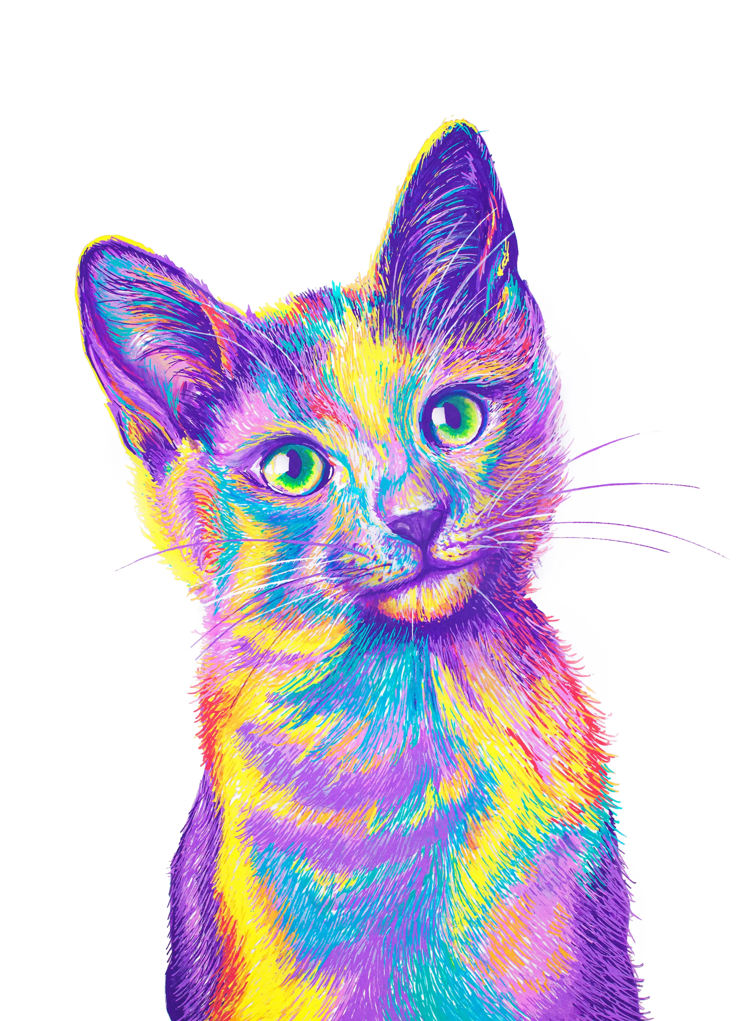 Colorful Pet Portraits I Drew