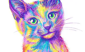 Colorful Pet Portraits I Drew