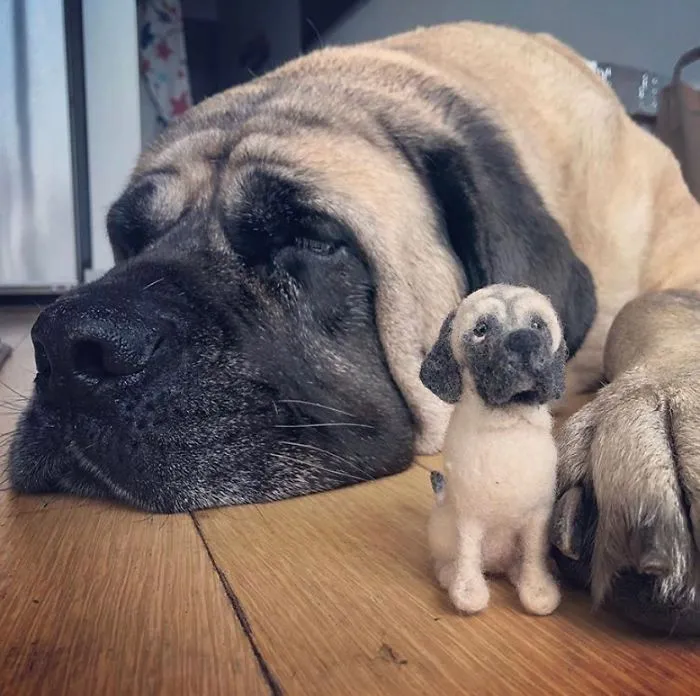 Artist Creates Felted Versions Of People's Pets And The Waitlist Is Already 3 Months Long (98 Pics) 