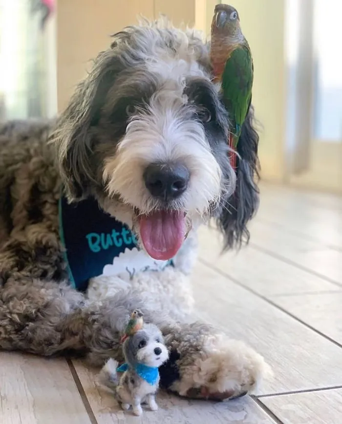 Artist Creates Felted Versions Of People's Pets And The Waitlist Is Already 3 Months Long (98 Pics) 