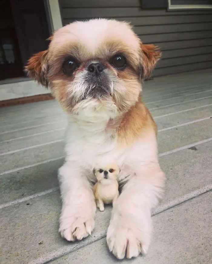 Artist Creates Felted Versions Of People's Pets And The Waitlist Is Already 3 Months Long (98 Pics) 