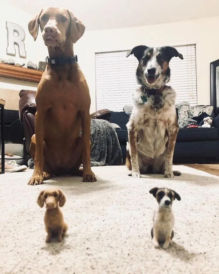 Artist Creates Felted Versions Of People's Pets And The Waitlist Is Already 3 Months Long (98 Pics) 