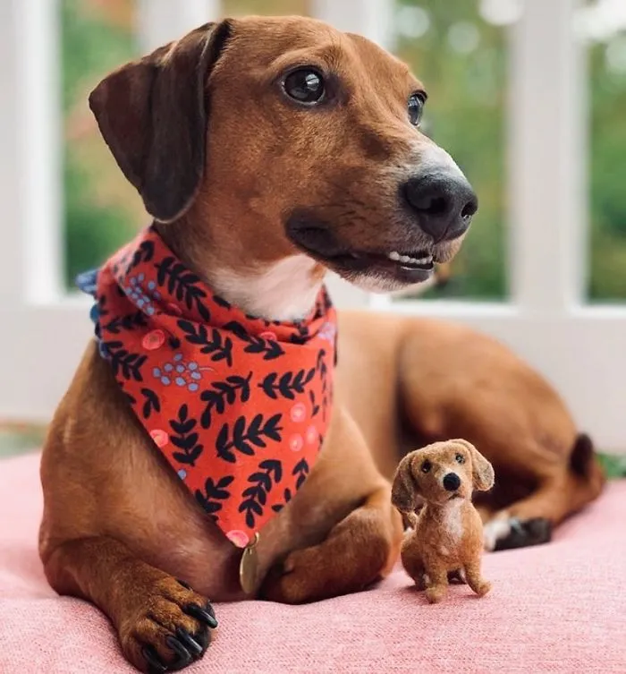 Artist Creates Felted Versions Of People's Pets And The Waitlist Is Already 3 Months Long (98 Pics) 
