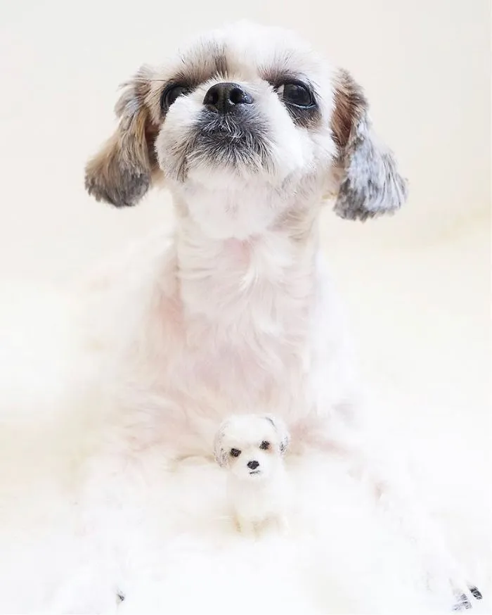 Artist Creates Felted Versions Of People's Pets And The Waitlist Is Already 3 Months Long (98 Pics) 