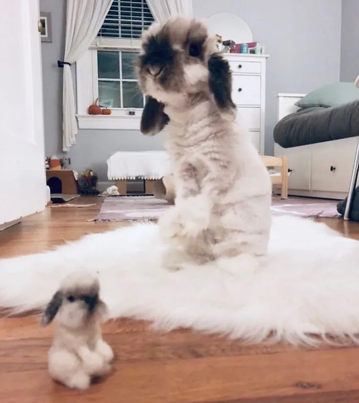 Artist Creates Felted Versions Of People's Pets And The Waitlist Is Already 3 Months Long (98 Pics) 