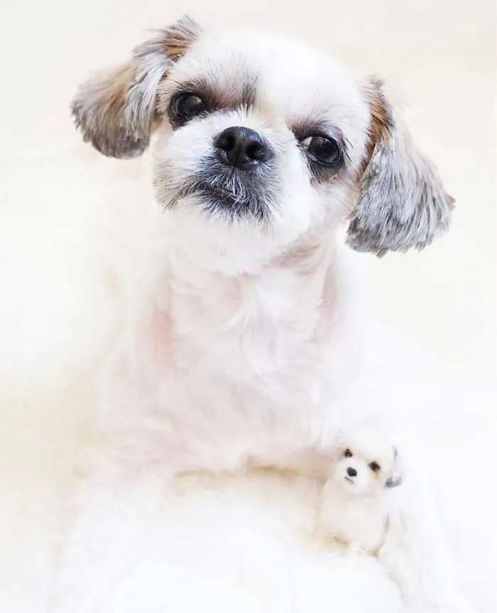 Artist Creates Felted Versions Of People's Pets And The Waitlist Is Already 3 Months Long (98 Pics) 