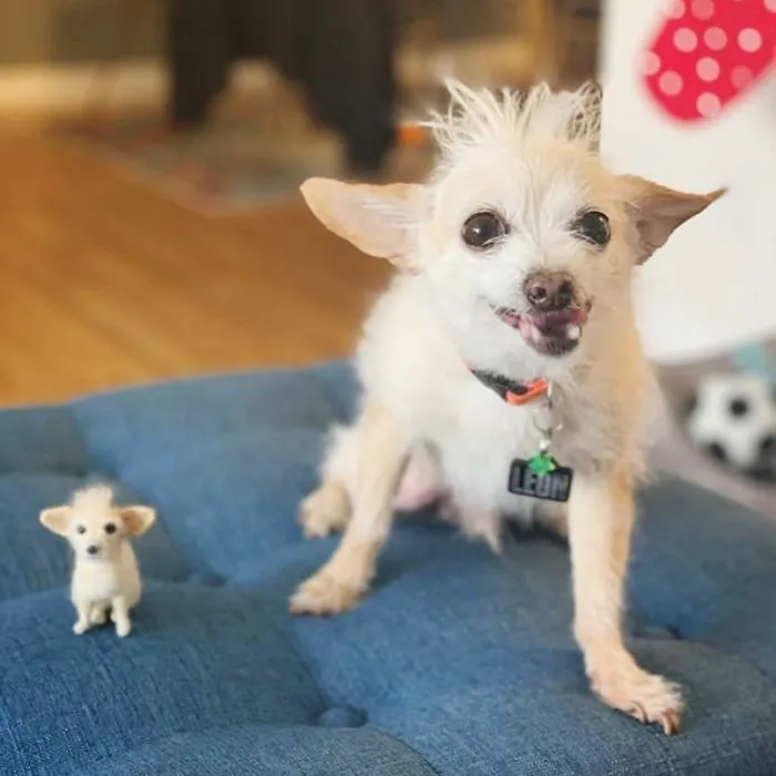 Artist Creates Felted Versions Of People's Pets And The Waitlist Is Already 3 Months Long (98 Pics) 