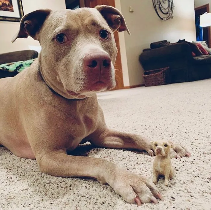 Artist Creates Felted Versions Of People's Pets And The Waitlist Is Already 3 Months Long (98 Pics) 
