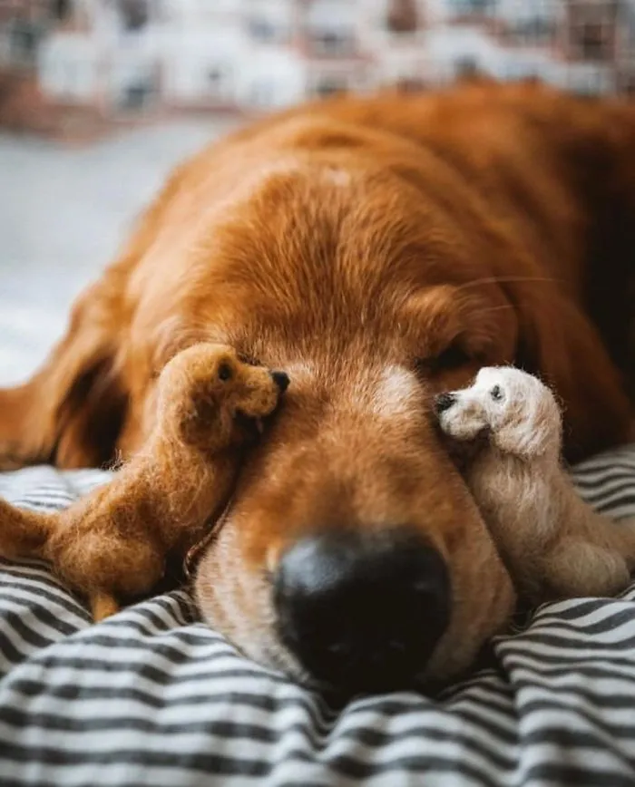 Artist Creates Felted Versions Of People's Pets And The Waitlist Is Already 3 Months Long (98 Pics) 