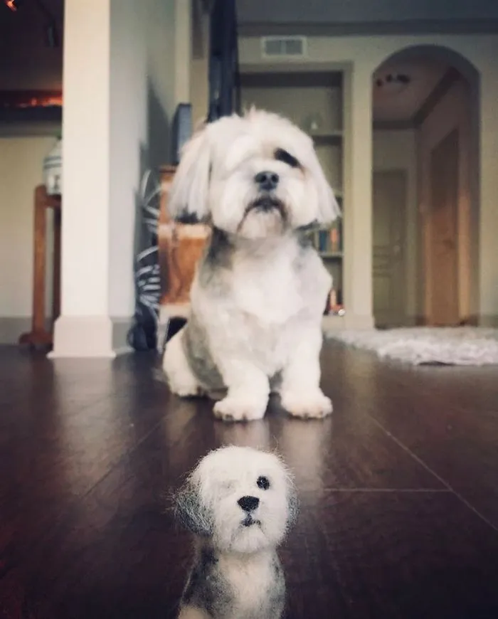 Artist Creates Felted Versions Of People's Pets And The Waitlist Is Already 3 Months Long (98 Pics) 
