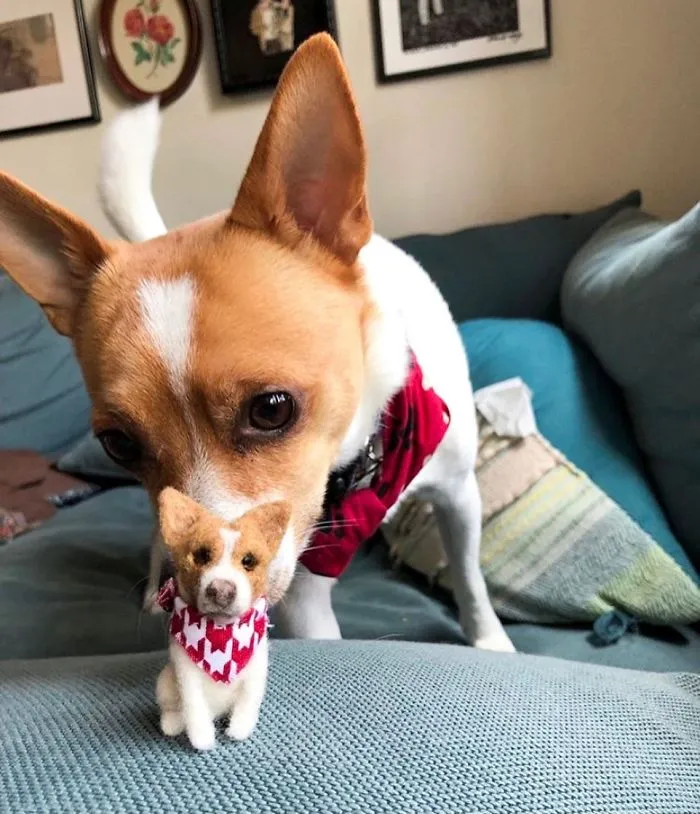 Artist Creates Felted Versions Of People's Pets And The Waitlist Is Already 3 Months Long (98 Pics) 