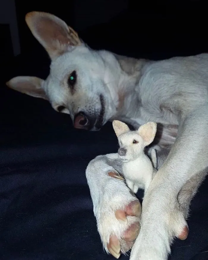Artist Creates Felted Versions Of People's Pets And The Waitlist Is Already 3 Months Long (98 Pics) 