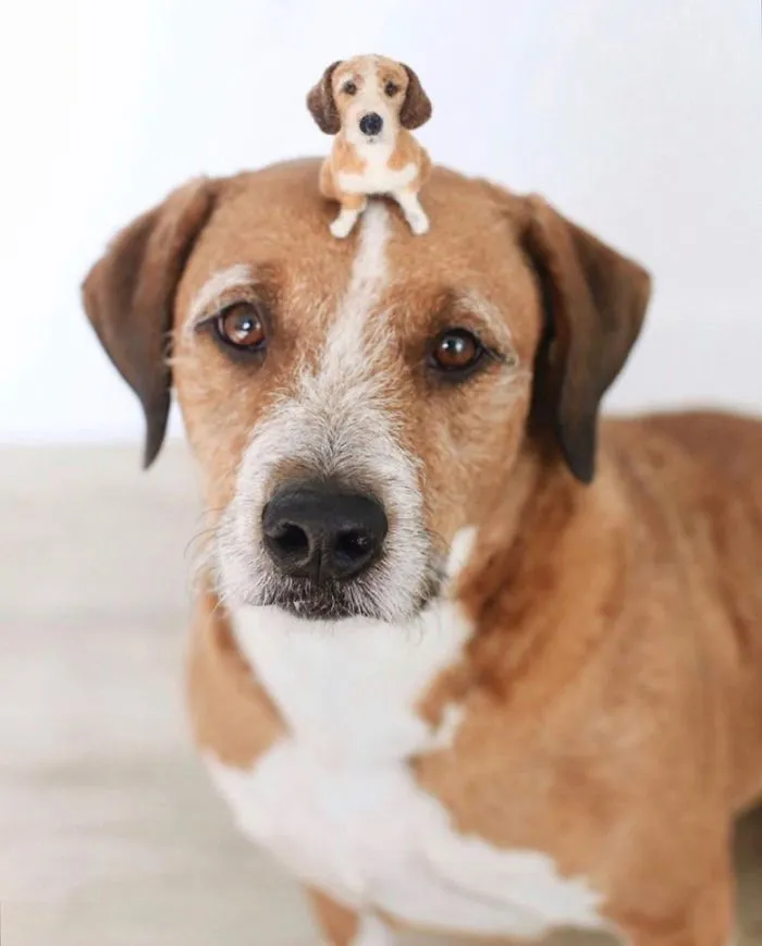 Artist Creates Felted Versions Of People's Pets And The Waitlist Is Already 3 Months Long (98 Pics) 