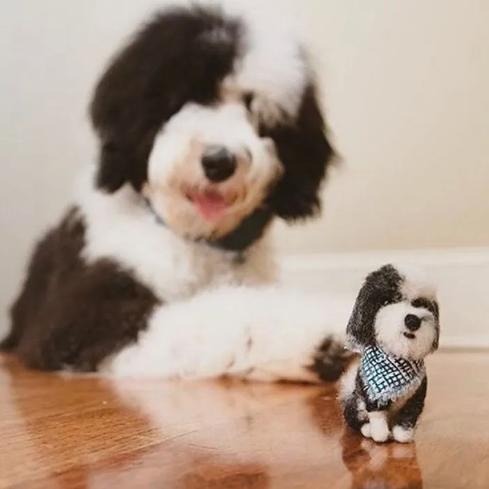 Artist Creates Felted Versions Of People's Pets And The Waitlist Is Already 3 Months Long (98 Pics) 
