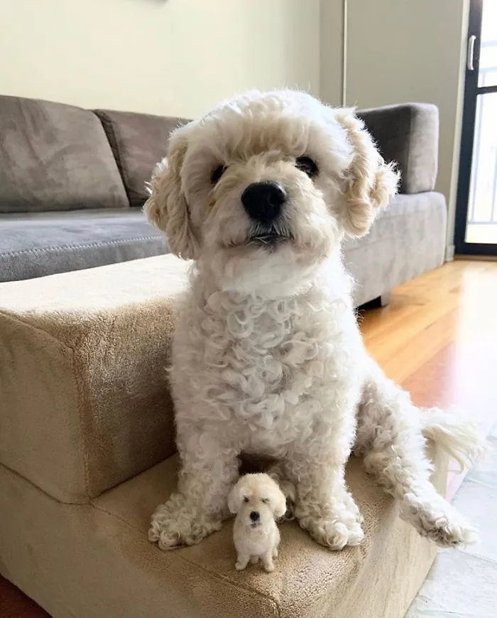 Artist Creates Felted Versions Of People's Pets And The Waitlist Is Already 3 Months Long (98 Pics) 