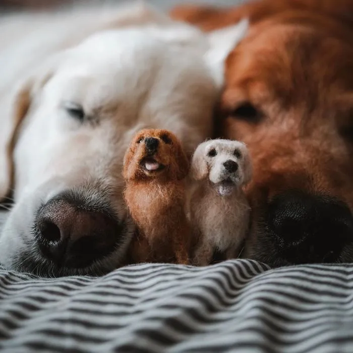 Artist Creates Felted Versions Of People's Pets And The Waitlist Is Already 3 Months Long (98 Pics) 