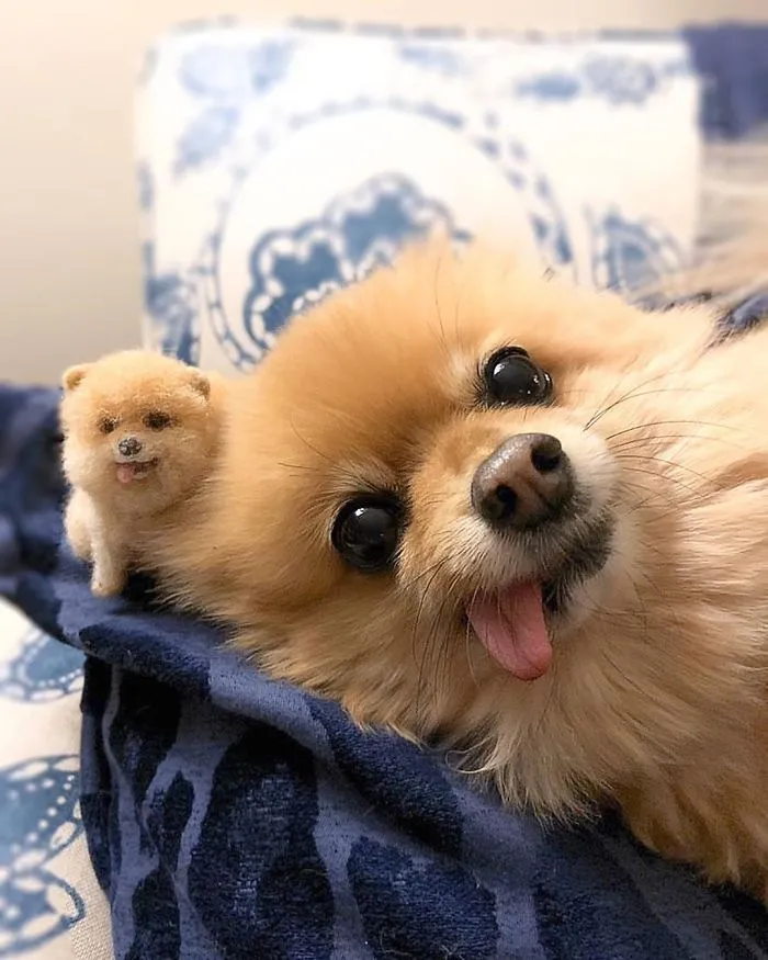 Artist Creates Felted Versions Of People's Pets And The Waitlist Is Already 3 Months Long (98 Pics) 