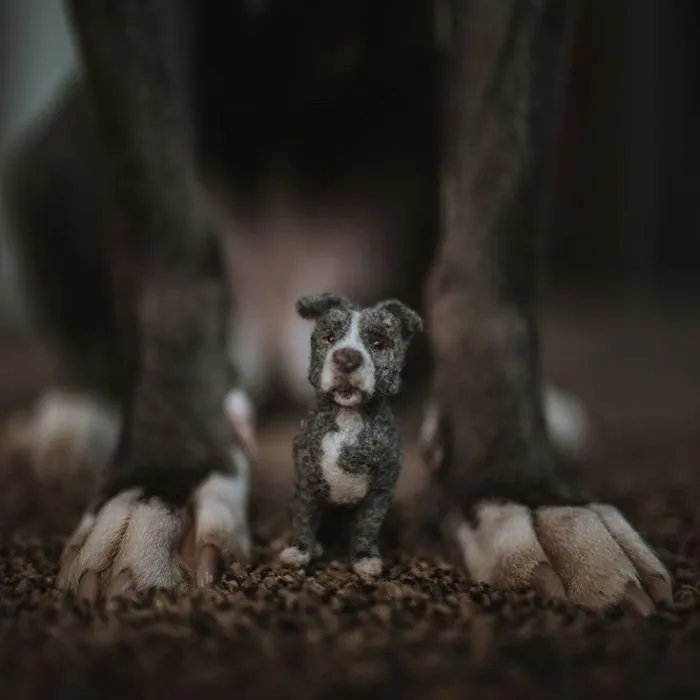 Artist Creates Felted Versions Of People's Pets And The Waitlist Is Already 3 Months Long (98 Pics) 