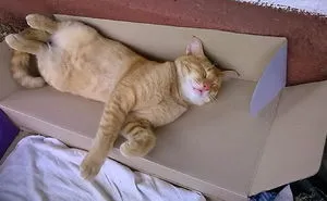 My Duty Is Over….time To Relax.... So Please Don’t Disturb.....