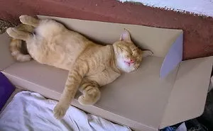 Duty Is Over...... So Please Don't Disturb....