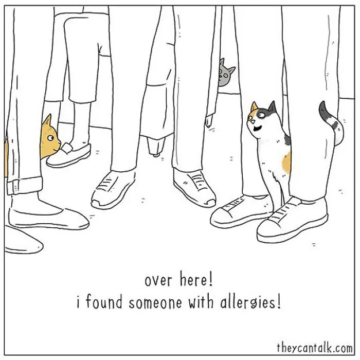 40 Comics Reveal What Animals Would Say If They Could Talk (New Pics)