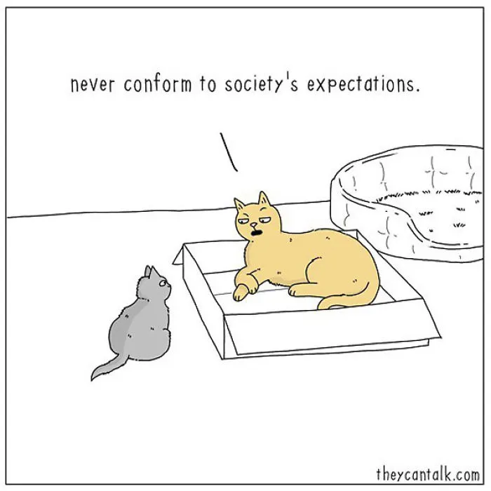40 Comics Reveal What Animals Would Say If They Could Talk (New Pics)