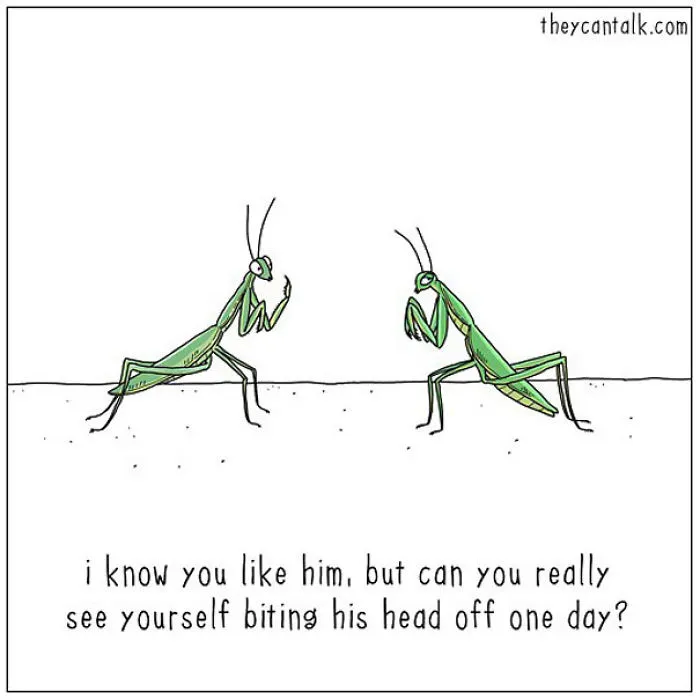 40 Comics Reveal What Animals Would Say If They Could Talk (New Pics)