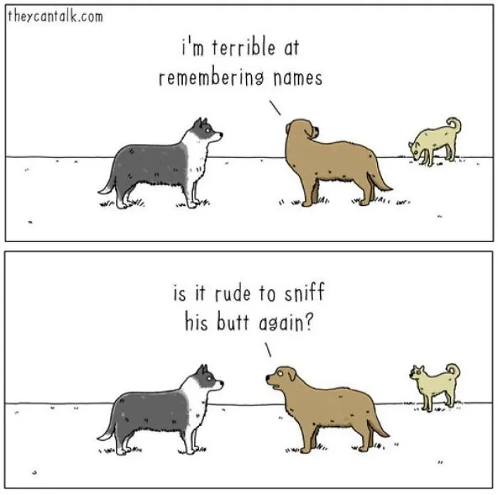 40 Comics Reveal What Animals Would Say If They Could Talk (New Pics)