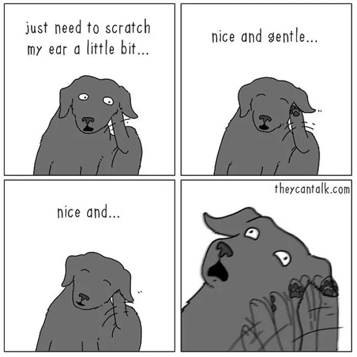 40 Comics Reveal What Animals Would Say If They Could Talk (New Pics)
