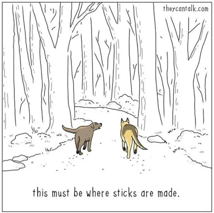 40 Comics Reveal What Animals Would Say If They Could Talk (New Pics)
