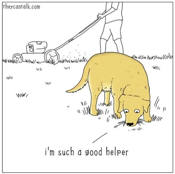 40 Comics Reveal What Animals Would Say If They Could Talk (New Pics)