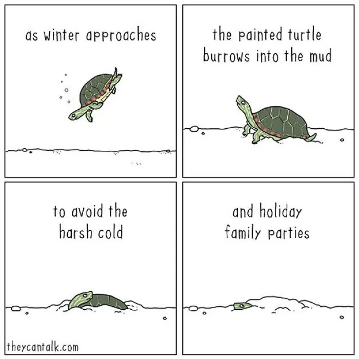 40 Comics Reveal What Animals Would Say If They Could Talk (New Pics)