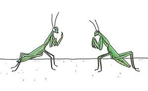 40 Comics Reveal What Animals Would Say If They Could Talk (New Pics)