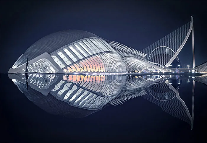 "Fish" By Pedro Luis Ajuriaguerra Saiz, Winner Of The Judge's Prize
