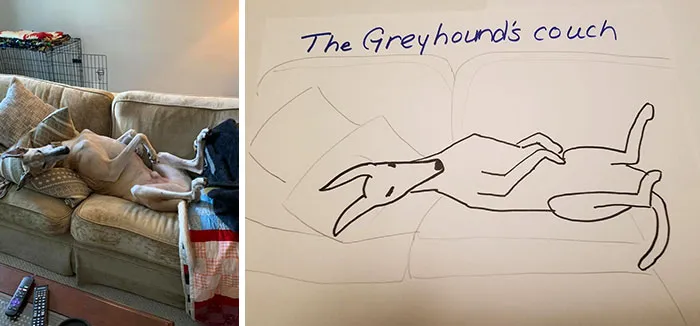Esta protectora de animales promete hacer un dibujo cutre pero original de tu mascota por cada donación de 15$, y estos son los resultados (35 fotos)
