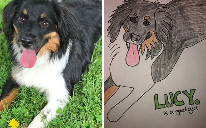 Humane Society Promises To Make A Bad Original Drawing Of Your Pet For A $15 Donation And Here's The Results (35 Pics)