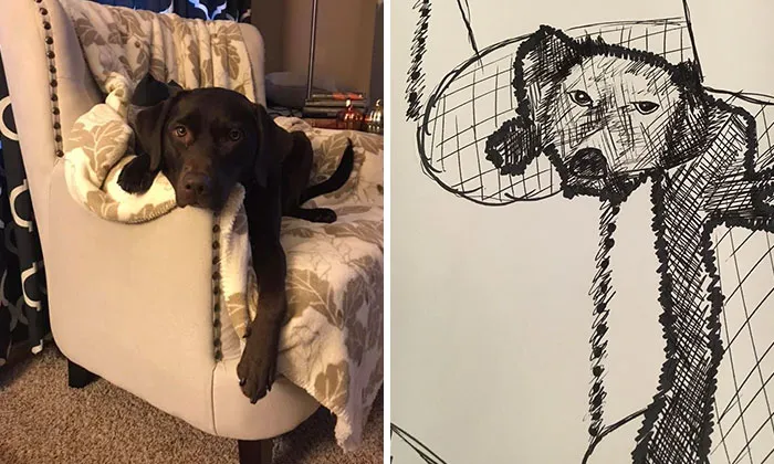 Humane Society Promises To Make A Bad Original Drawing Of Your Pet For A $15 Donation And Here's The Results (35 Pics)