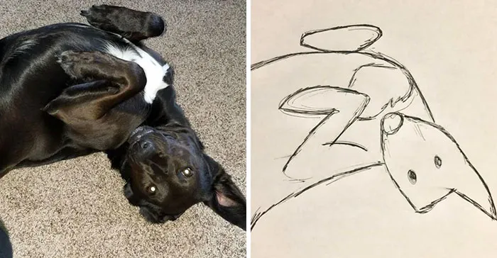 Esta protectora de animales promete hacer un dibujo cutre pero original de tu mascota por cada donación de 15$, y estos son los resultados (35 fotos)