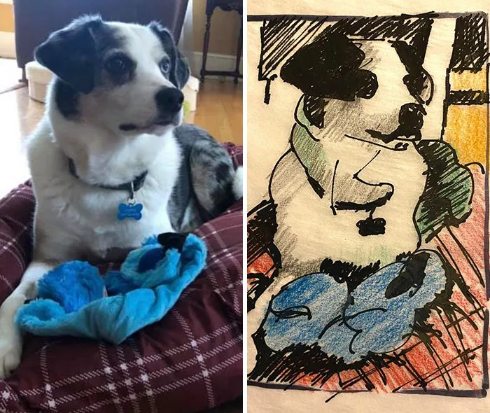 Esta protectora de animales promete hacer un dibujo cutre pero original de tu mascota por cada donación de 15$, y estos son los resultados (35 fotos)