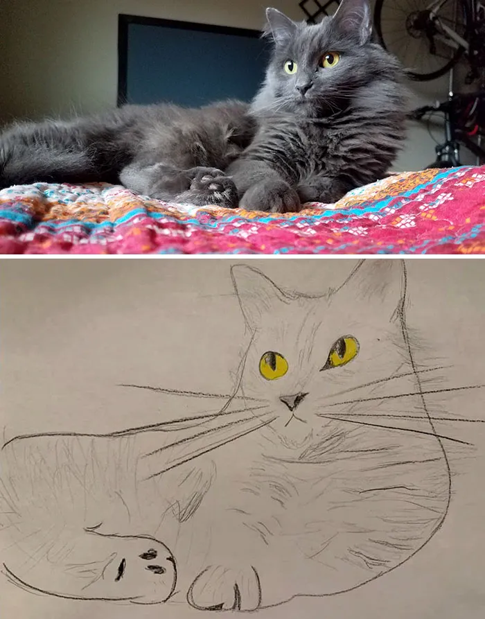 Humane Society Promises To Make A Bad Original Drawing Of Your Pet For A $15 Donation And Here's The Results (35 Pics)