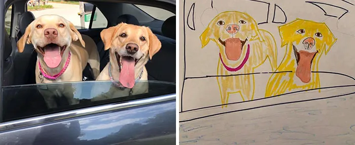 Esta protectora de animales promete hacer un dibujo cutre pero original de tu mascota por cada donación de 15$, y estos son los resultados (35 fotos)