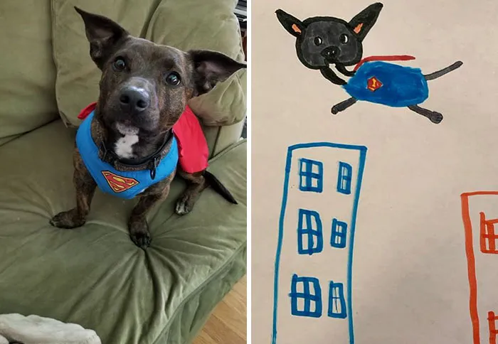 Esta protectora de animales promete hacer un dibujo cutre pero original de tu mascota por cada donación de 15$, y estos son los resultados (35 fotos)