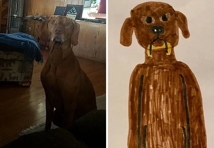 Humane Society Promises To Make A Bad Original Drawing Of Your Pet For A $15 Donation And Here's The Results (35 Pics)