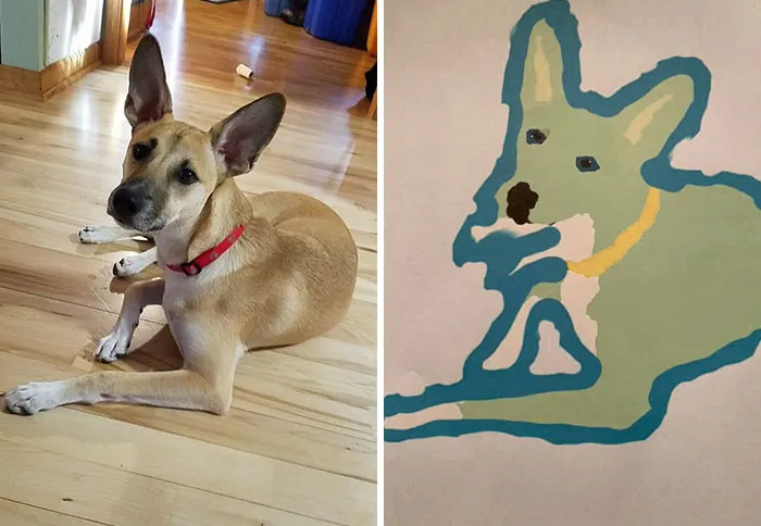 Esta protectora de animales promete hacer un dibujo cutre pero original de tu mascota por cada donación de 15$, y estos son los resultados (35 fotos)
